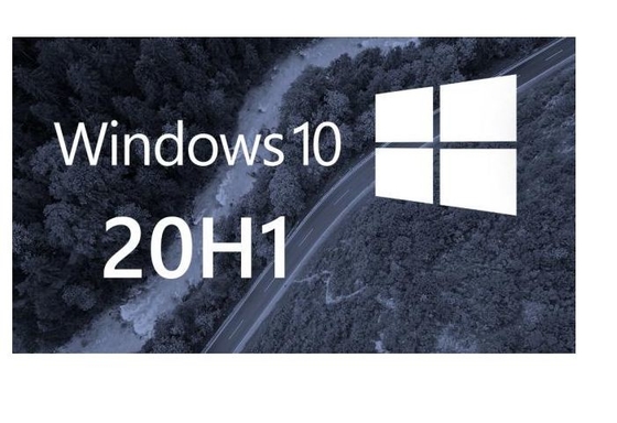 윈도우 10 프로 PC 프로덕트 키 Coa 스티커 온라인 활성화