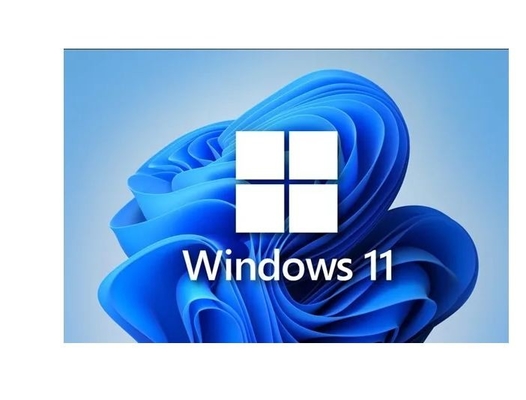 홀로그램 Coa 스티커로 주요한 마이크로 소프트 윈도우 11 활성화는 11개의 프로 키를 얻습니다