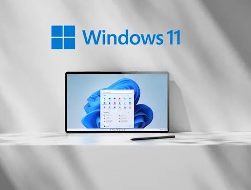 진짜 마이크로 소프트 윈도우 11 서베이 64 비트 / 윈도우 10 프로덕트 키 COA