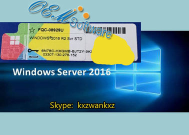 밀봉된 팩 Windows 서버 2016 기준 중요한 일생 보증 제한되는 지역 없음