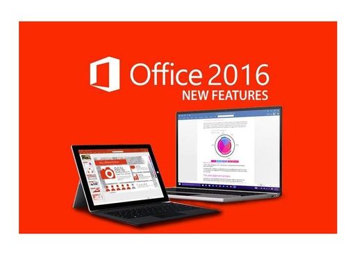 DVD Box PKC Office 2021 Pro plus Plus 소매 키 온라인 활성화