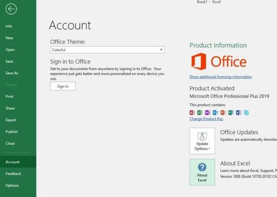 바인딩 PKC Microsoft Office 2019 제품 키 FPP Office Pro Plus 2019 키