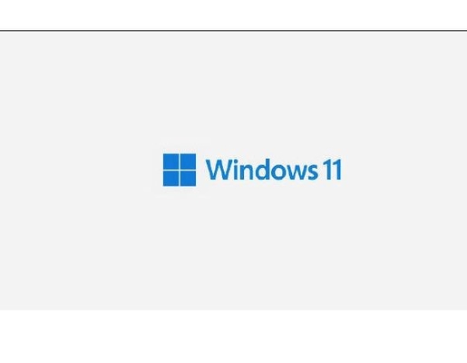 PC Windows 11 Pro 라이센스 키 X21 Coa 스티커(홀로그램 포함) Win 11 제품 키