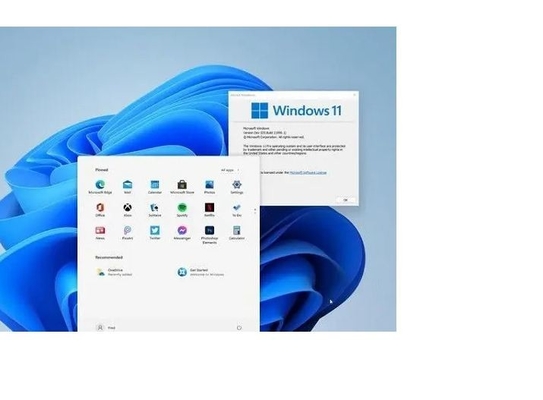홀로그램으로 주요한 마이크로 소프트 윈도우 11 활성화는 11 Coa 스티커를 얻습니다